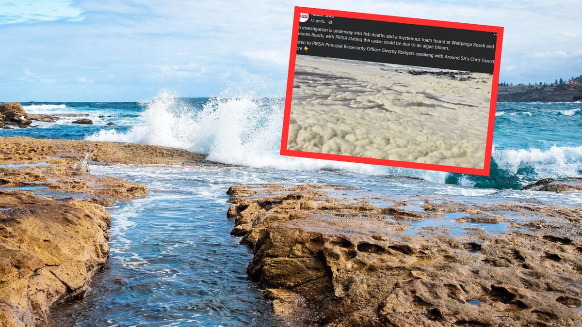 Tajemnicza piana pojawiła się na wybrzeżu Australii  