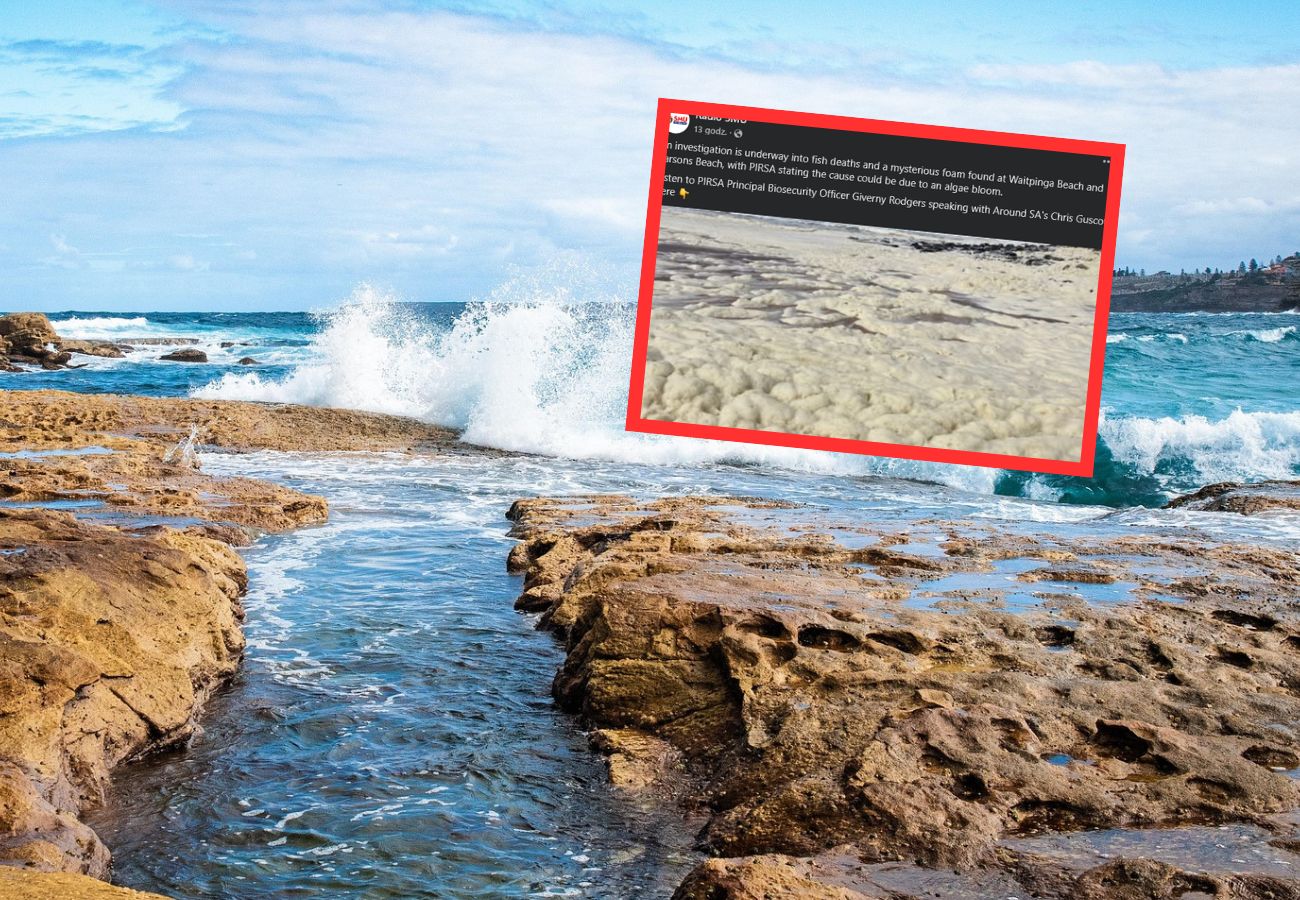 Zobaczyli dziwną pianę przy plaży. Nagle zaczęli się źle czuć