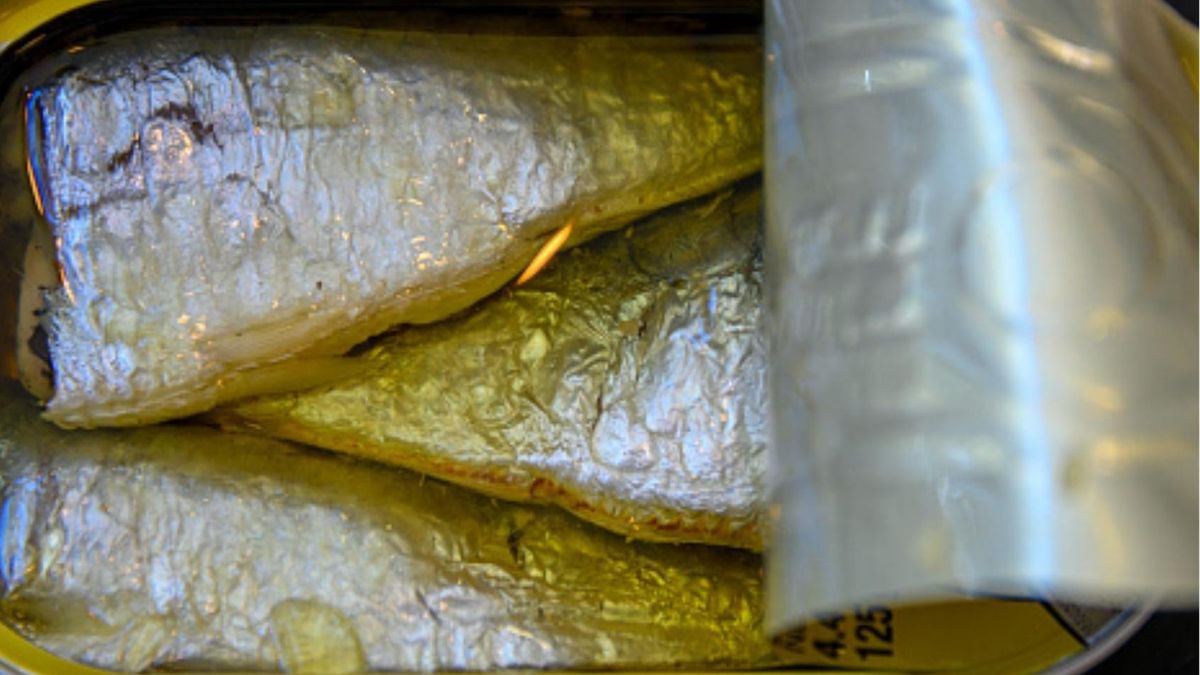 GIS wycofuje znane produkty rybne. Wykryto w nich szkodliwą substancję