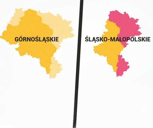 Zmiana nazwy województwa śląskiego nie wystarczy. "Trzeba zmienić granice"