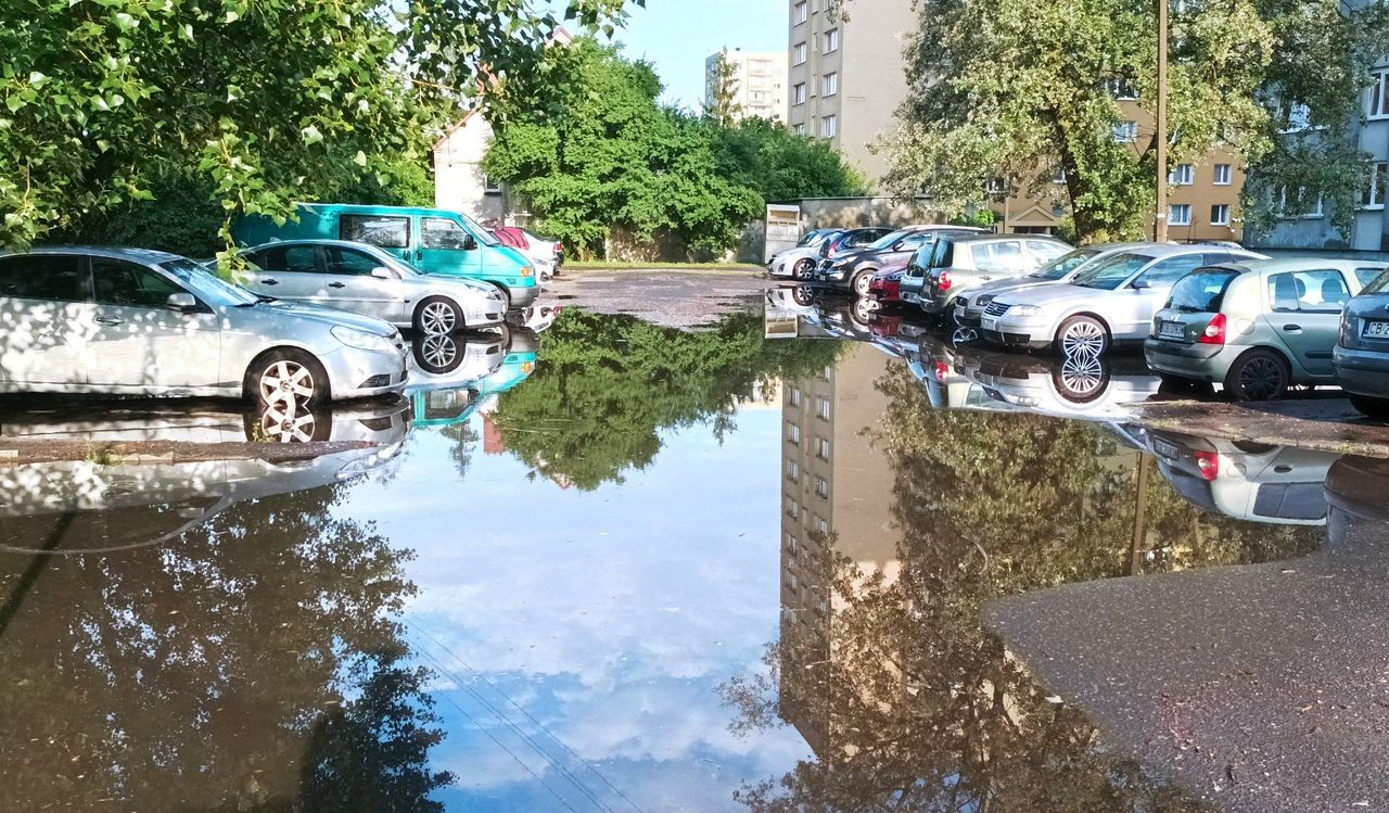 Od wtorku deszczu będzie dużo mniej. Mamy umiarkowanie ciepłą wersję lata