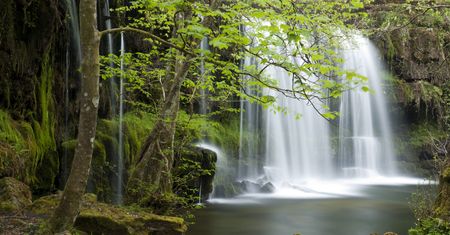 Wybory w Brazylii szansą na uratowanie Amazonii. A jej istnienie jest kluczowe dla nas wszystkich