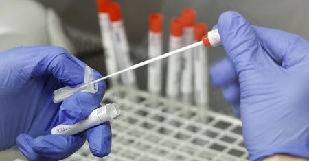 Przerażające odkrycie w laboratorium w Sosnowcu. Chodzi o COVID-19