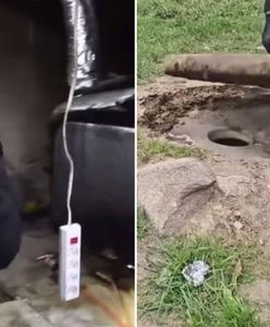 Poruszenie na Podlasiu. Odkrycie służb na prywatnej posesji