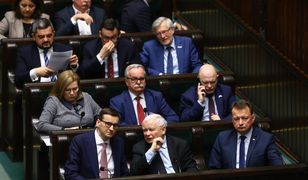 "Ukryty program PiS". Polityk o horrendalnie wysokich cenach