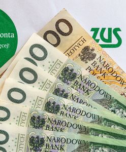 Niepokojący trend w ZUS. Eksperci alarmują: to oznacza tylko jedno