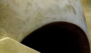 To ma być taka fikcja, aby wszyscy uwierzyli