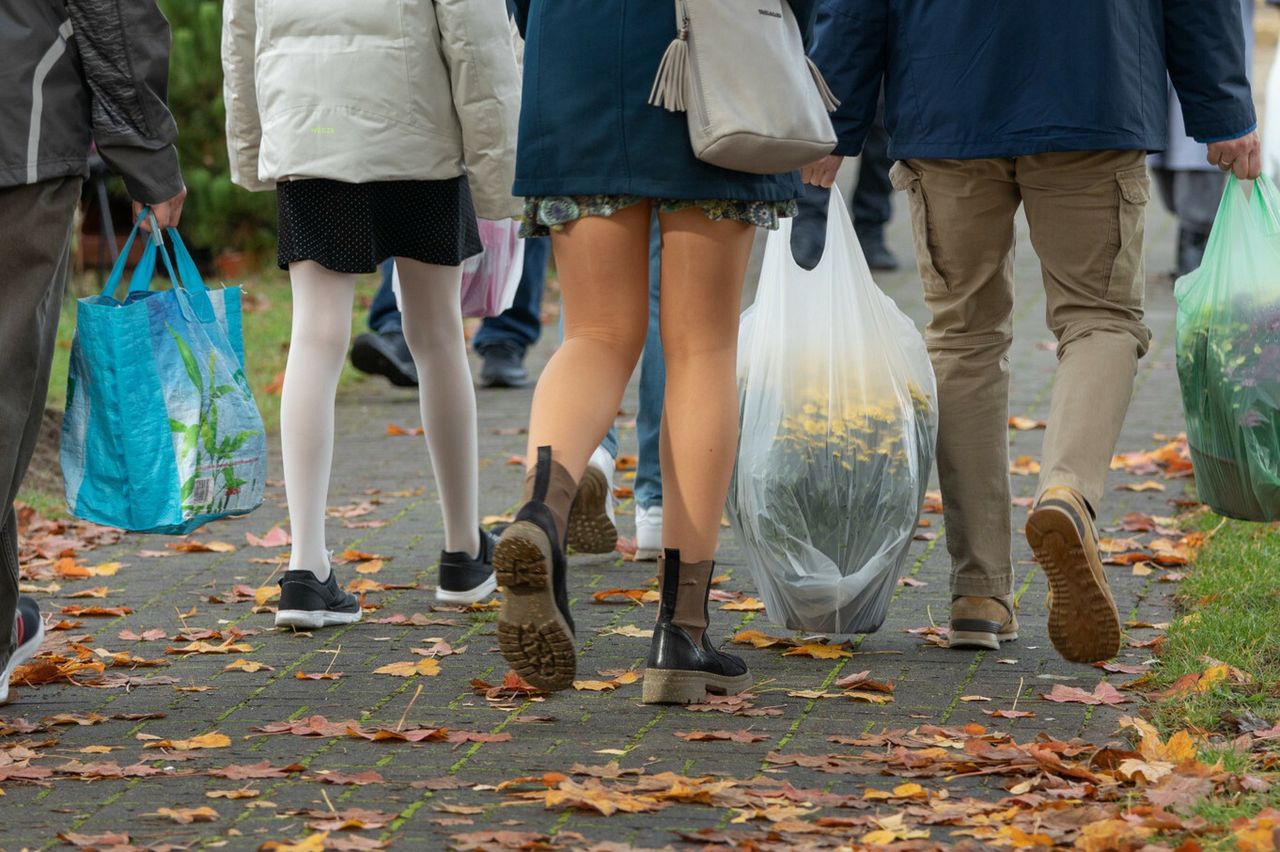 Koniec "strojenia się" na cmentarzach. Ekspertka o nowym trendzie