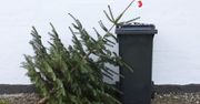 Nie wyrzucam zaraz po świętach. Robię z choinki użytek, nawet jeśli już obleciała