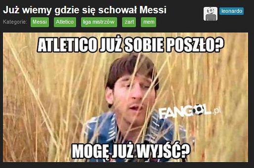 Fot. fangol.pl