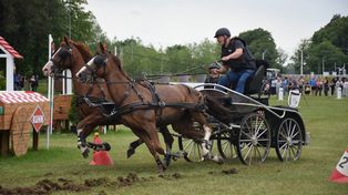 Baborówko Equestrian Festival 2026. Jeździeckie emocje, hobby horse'y i warkot silników