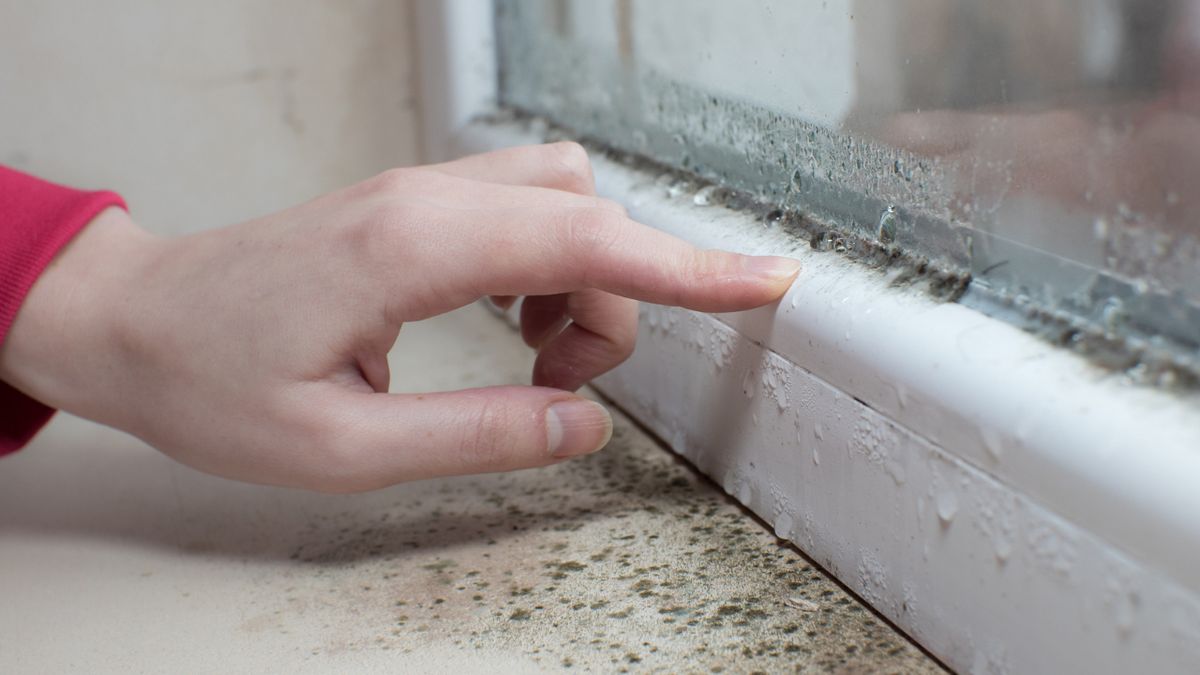 Wilgoć na oknach to mocno uciążliwy kłopot