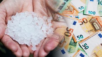 Chorwacja liczy straty po żywiołach. Minister podał kwotę 37 mln euro