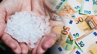 Chorwacja liczy straty po żywiołach. Minister podał kwotę 37 mln euro