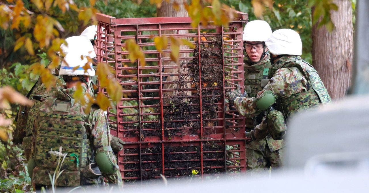 Japonia wysyła wojsko na niedźwiedzie. Dramatyczna sytuacja na Honsiu