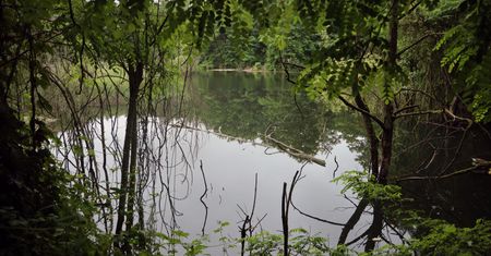 Dolnośląskie: Pod Mikołajowicami jest olbrzymia żyła złota