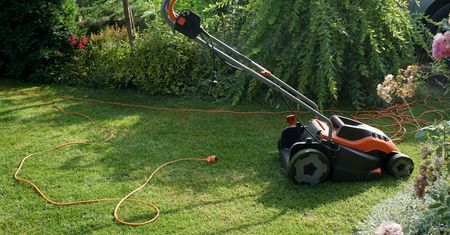 Trawnik gęsty niczym dywan. Patent jest dziecinnie prosty