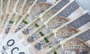 Telefon, obietnica. Schemat podobny. Tak działają fałszywi urzędnicy