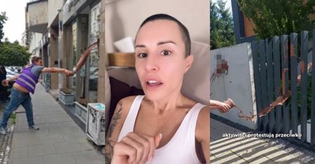 Blanka Lipińska uderza w aktywistów, którzy oblali sztucznymi odchodami dobytki gwiazd. "To jest ZWYKŁE CHAMSTWO ubrane w ideologię"