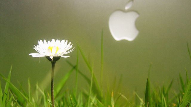 Apple znów pozywa Samsunga. Gdzie tym razem? 1
