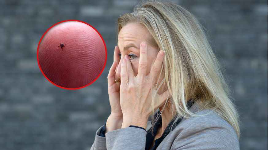 Kiedy nie wykonywać badań w kierunku boreliozy? Lekarze ostrzegają przed oszustami