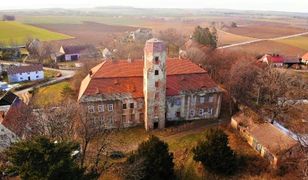 Pałac wystawiony na sprzedaż. Cena robi wrażenie