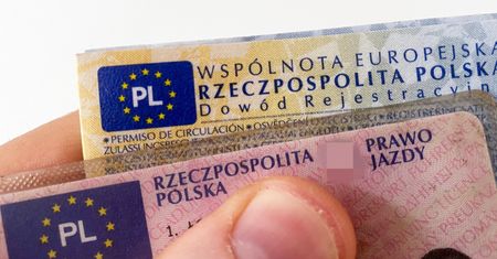 Kurs dla kierowców 4-krotnie w górę. Zmiany już są w toku