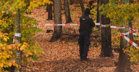 Zaginiony Włoch znaleziony martwy pod Legnicą. Policja czeka na sekcję
