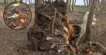 Szukali jajek wielkanocnych, nie żyją. Tragedia w Niemczech