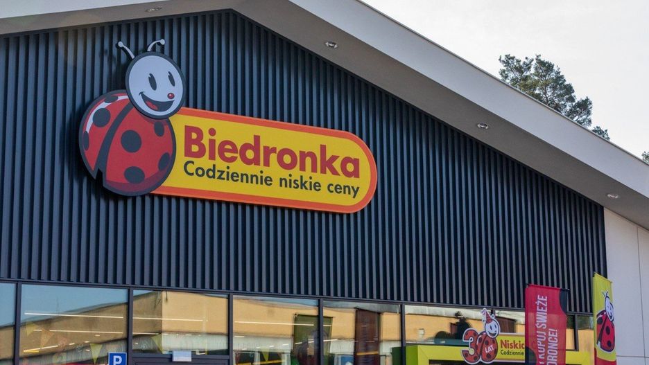 Biedronka zdjęcie poglądowe