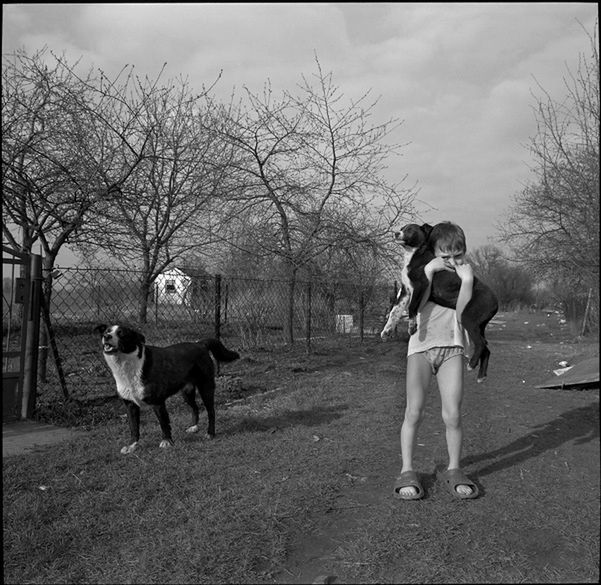 „Dog Stories" - pieskie życie na czarno-białych fotografiach Roberta Kresy 8