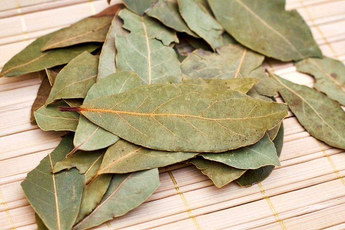 Bay leaf has stain-removing and whitening effects.