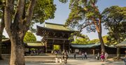 Amerykanin zatrzymany przez japońską policję. Uszkodził bramę świątyni