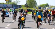 Gorzowianie znów będą kręcić kółka, by zostać rowerową stolicą Polski