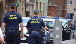 Gigantyczna kara za "miejskie k***". Strażnicy z Gliwic nie darowali