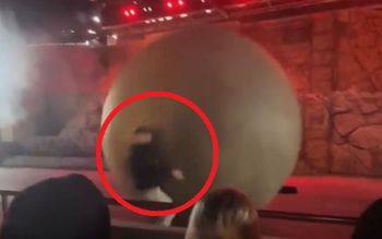 Kula miała 180 kg. Pracownik Disneya nie miał szans. Nagranie z USA