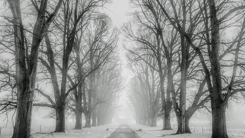 Czy doczekamy się białej zimy?