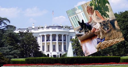 Wybory w USA. Po czterech latach do Białego Domu wraca pies. I to nie jeden
