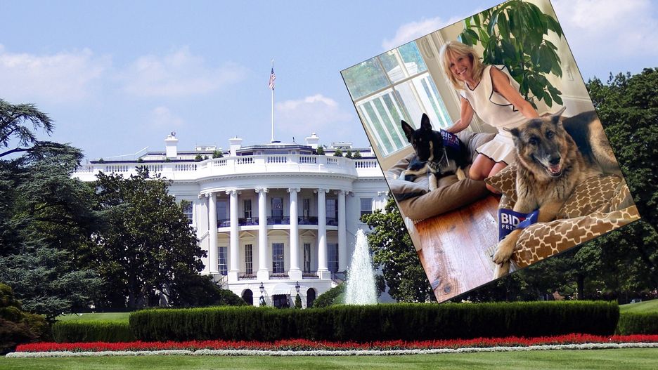 Biały Dom będzie miał nowych mieszkańców. Poza Joe i Jill będą to Champs i Major