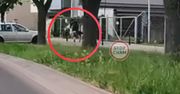 Boli od patrzenia. Dwie osoby na hulajnodze. Fatalny finał
