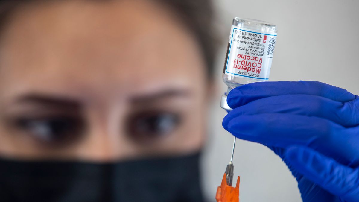 fot. Brian van der Brug / Los Angeles Times via Getty Images