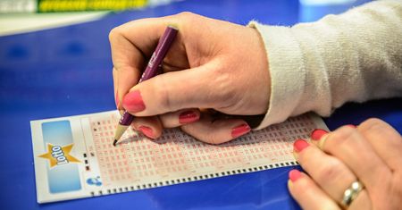 Lotto. Dwie "szóstki" w jednym losowaniu. Muszą się podzielić