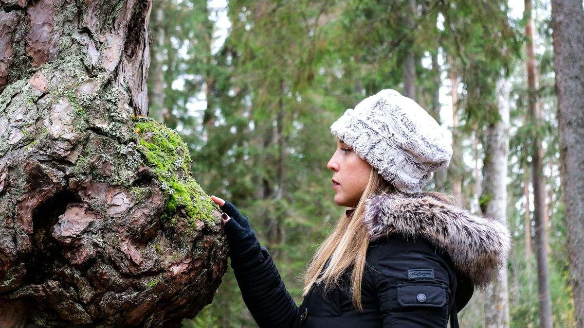 Lasy Państwowe wydały oświadczenie o wycofaniu aktów oskarżenia przeciwko aktywistom