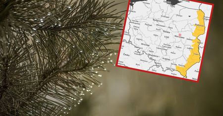 Pogoda na jutro. Nawet 14 stopni. Zapowiedź IMGW na czwartek 19 grudnia