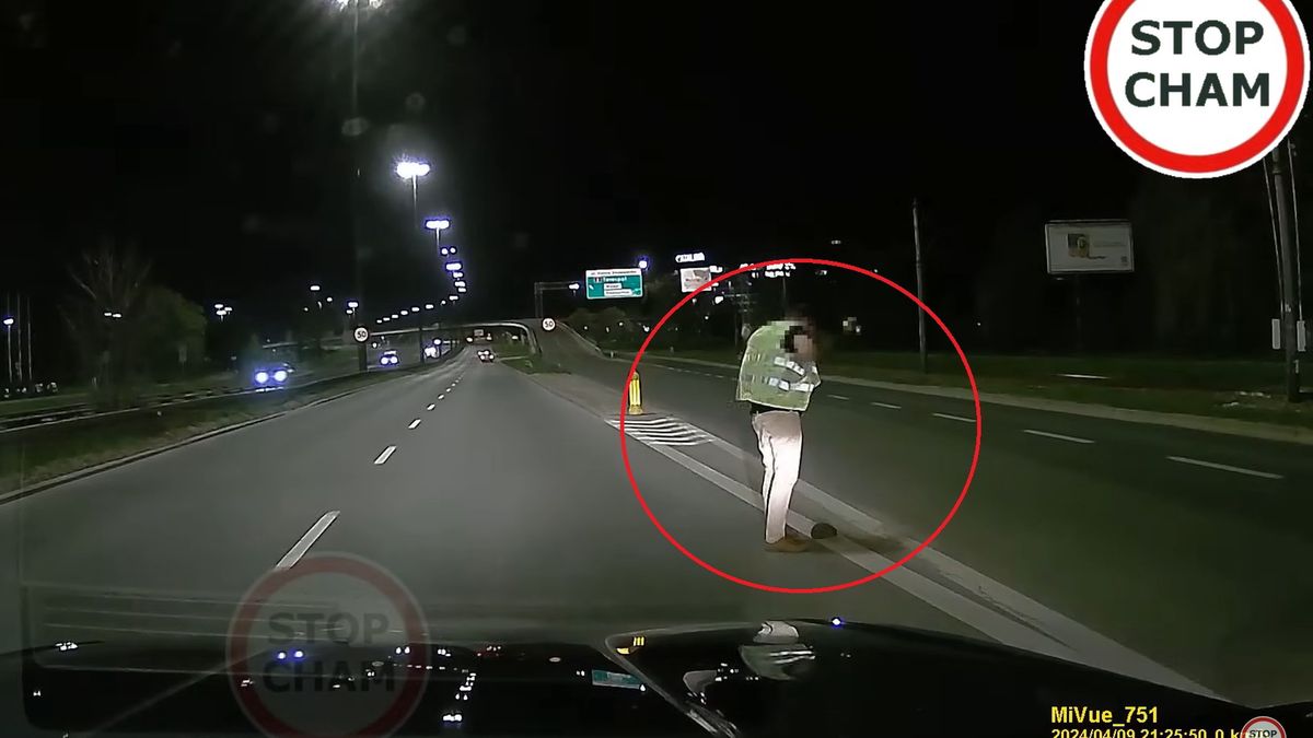 Kierowca w Warszawie uratował jeża