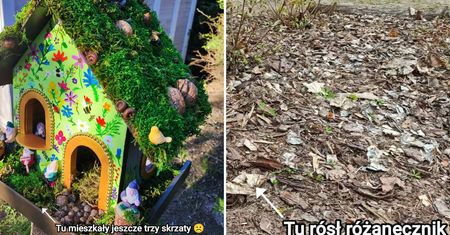 Skandal w Ogrodzie Botanicznym. Rośliny wykopane z ziemi, zniszczono kącik dla dzieci