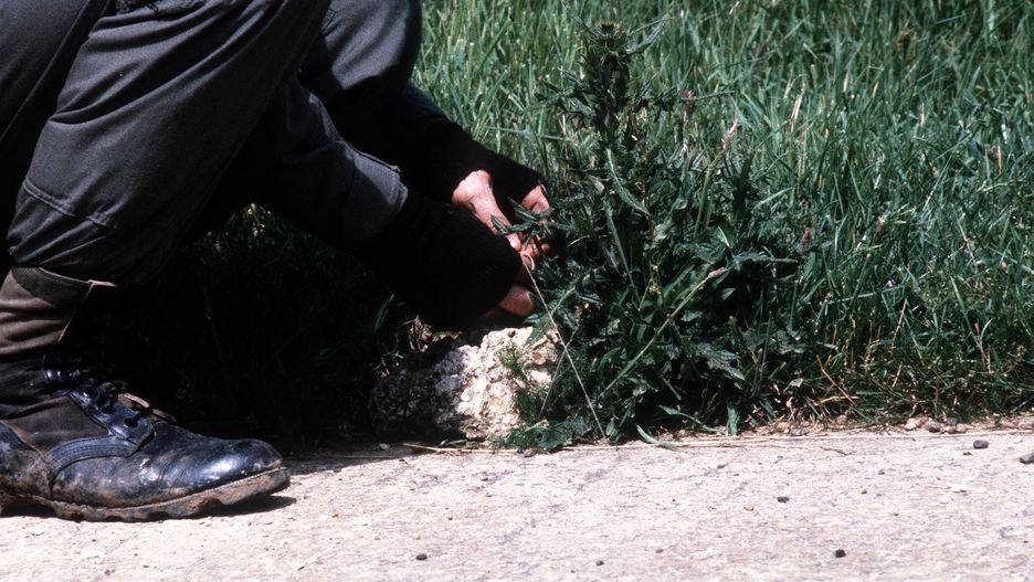 TSGT John Holland, 10th Security Police Squadron, sets up a trip flare in preparation for an ambush during a training exercise at Spanhoe Air Field, Wakerly.A1C Larry YoungF3203