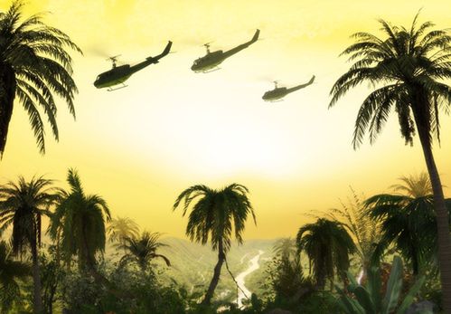 American,Huey,Military,Helicopter,Formation,Flying,Over,The,Jungle,At
uh-1,mobility,usa,american,combat,formation,hover,palm tree,heli