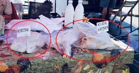 Zgroza. To zdjęcie z polskiego rynku. Higiena? Jaka higiena!