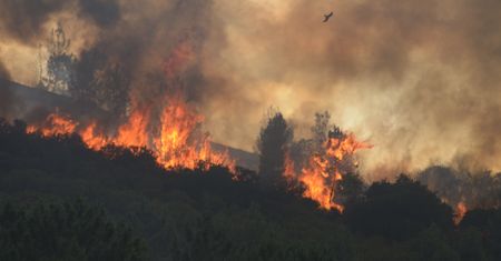 Potężny pożar w Hiszpanii. Mężczyzna zginął ratując koty